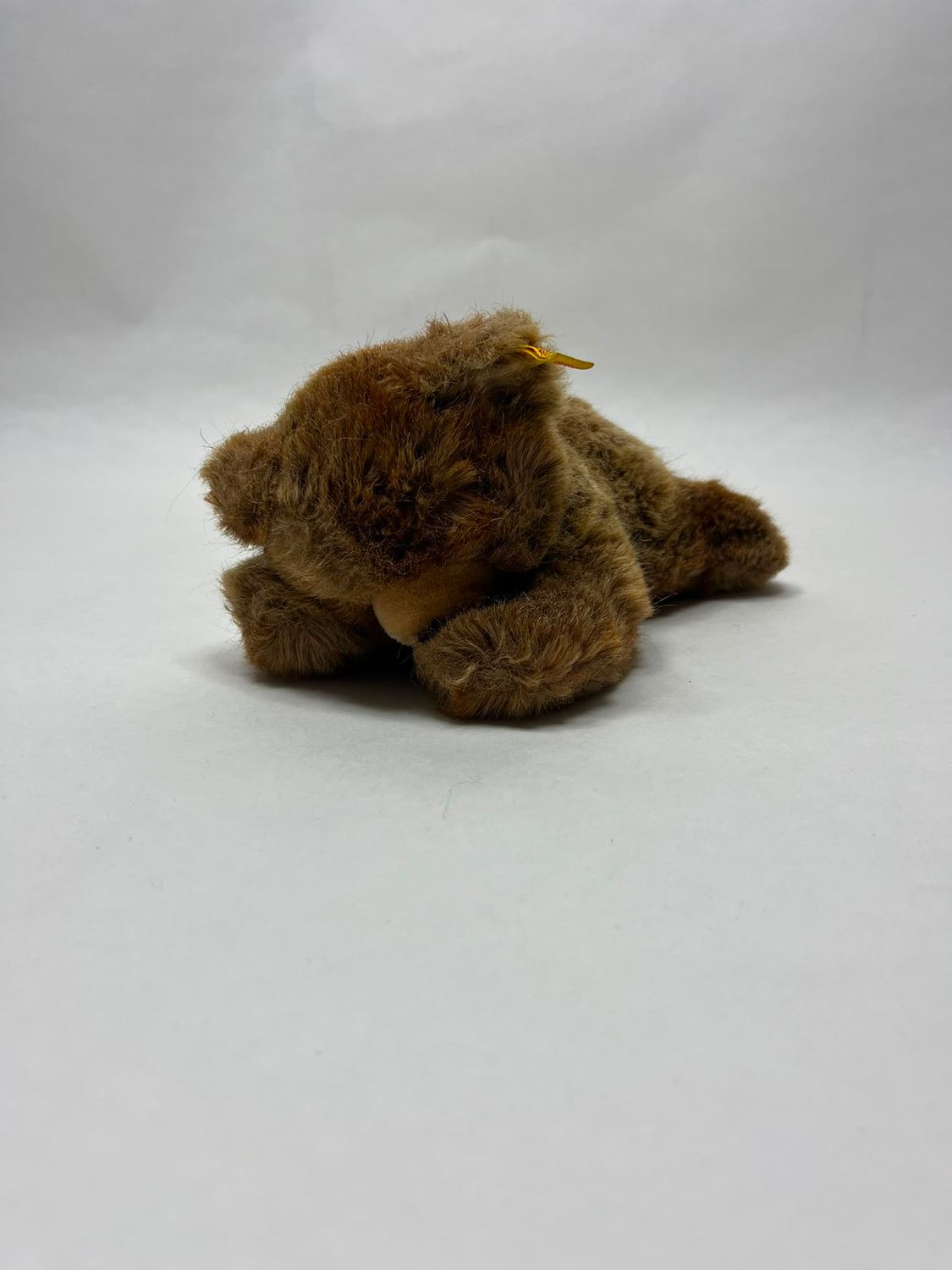 Steiff Bär Floppy 5700/20 mit Knopf und Fahne liegend 23 cm Sammlerstück