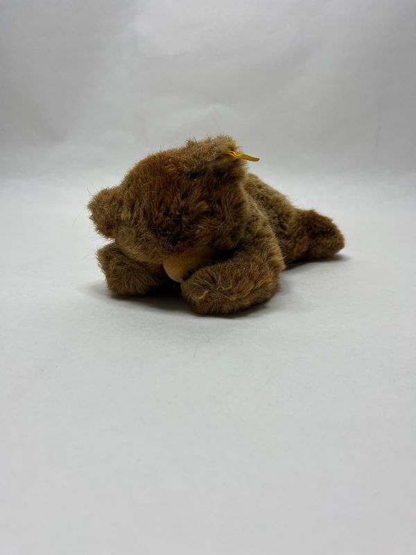 Steiff Bär Floppy 5700/20 mit Knopf und Fahne liegend 23 cm Sammlerstück