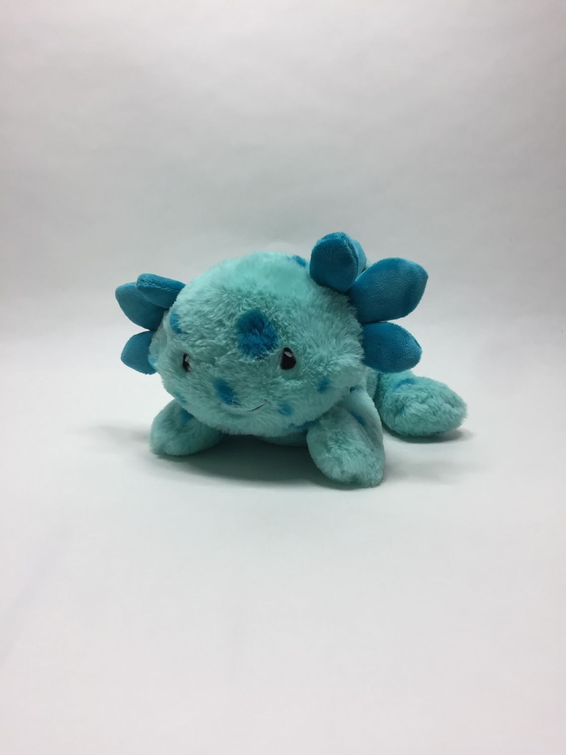 Axolotl Topolino liegend 43 cm sehr selten