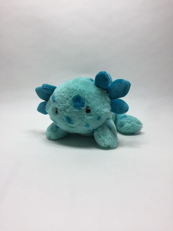 Axolotl Topolino liegend 43 cm sehr selten