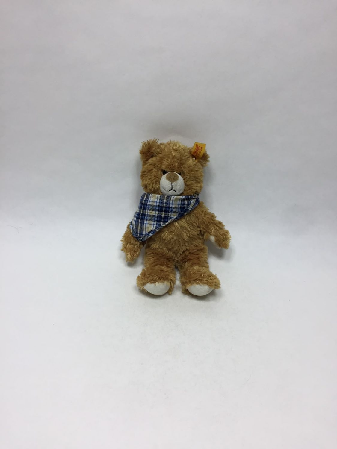 Steiff Teddy Luca 022968 mit Knopf, Fahne und Brustschild stehend 20 cm Mega Sammlerstück