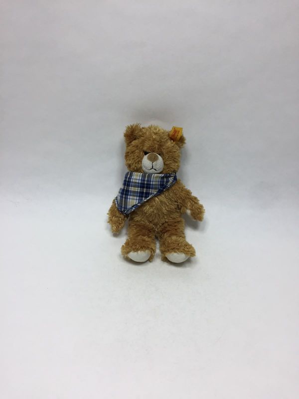 Steiff Teddy Luca 022968 mit Knopf, Fahne und Brustschild stehend 20 cm Mega Sammlerstück