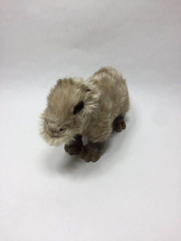 Schwein Wasserschwein Capybara Wombat stehend 30 cm Sammlerstück
