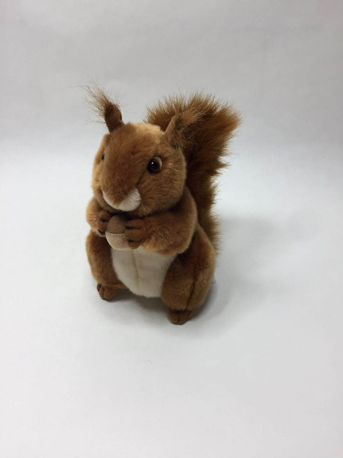 Eichhörnchen Aurora stehend 22 cm selten