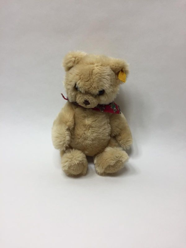 Steiff Teddy Petsy mit Knopf und Fahne ( nicht lesbar ) stehend 25 cm Sammlerstück