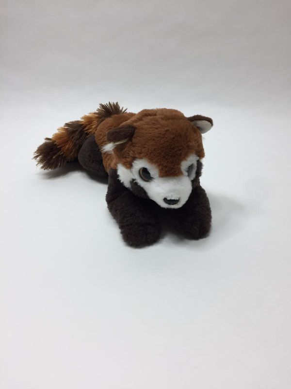 Roter Panda Nature Planet liegend 35 cm sehr selten