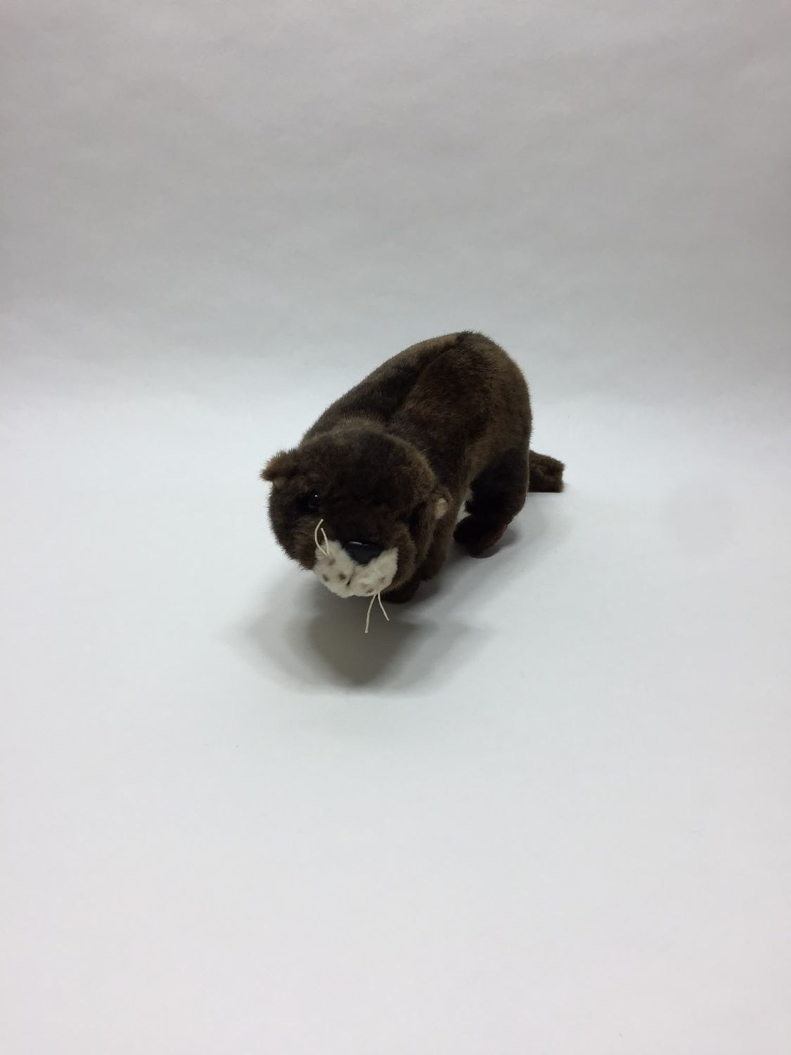 Frettchen Marder Otter Ravensden stehend 38 cm selten