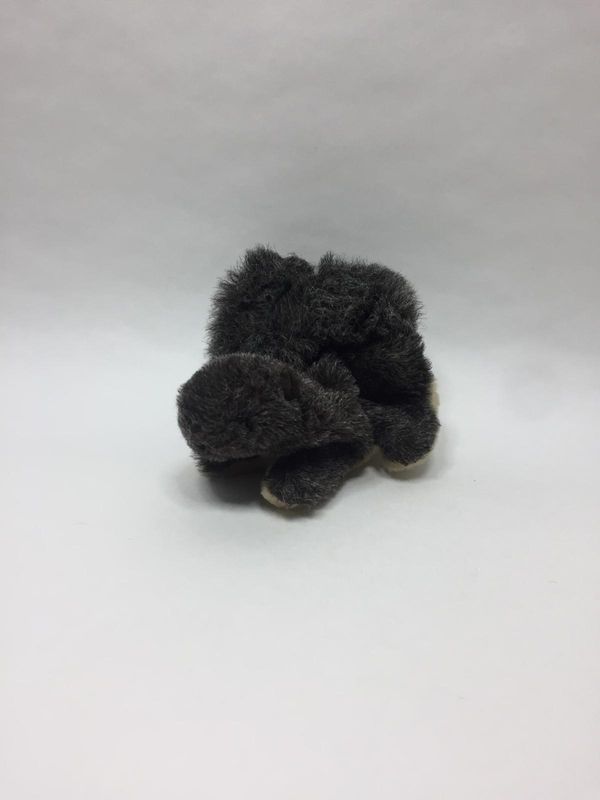 Eichhörnchen Handpuppe Fury Folk Puppets liegend 18 cm Rarität Eichhörnchen Handpuppe Fury Folk Puppets liegend 18 cm Rarität