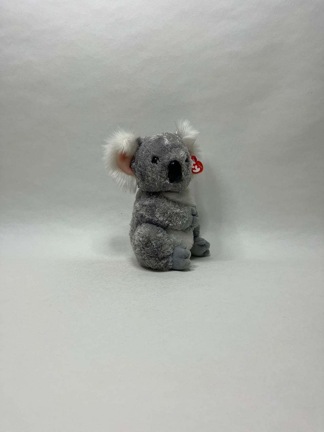 TY Koala stehend 28 cm Neuwertig mit Etikett