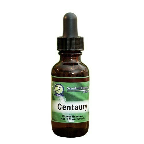 Centaury Flower Essence