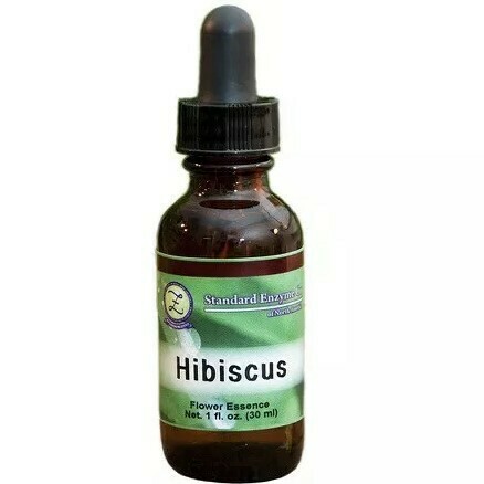 Hibiscus Flower Essence