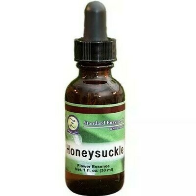 Honeysuckle Flower Essence 1oz