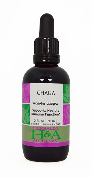 Chaga