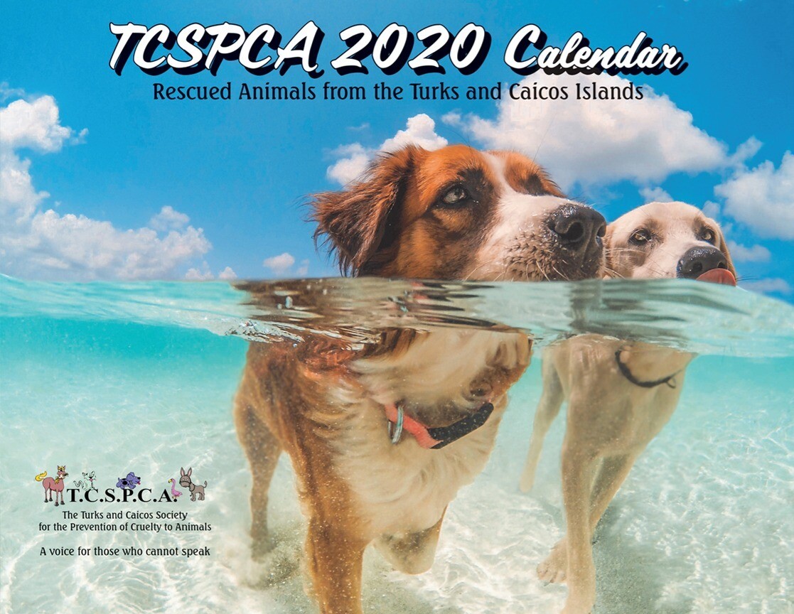 NEW TCSPCA 2020 CALENDAR NEW TCSPCA 2020 CALENDAR