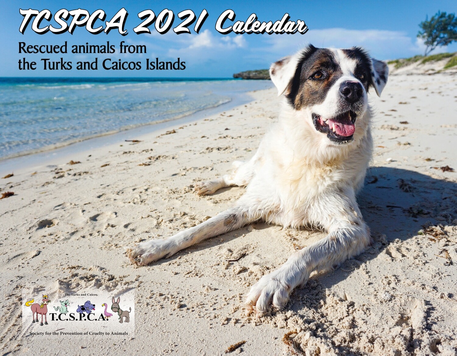 NEW TCSPCA 2021 CALENDAR NEW TCSPCA 2021 CALENDAR