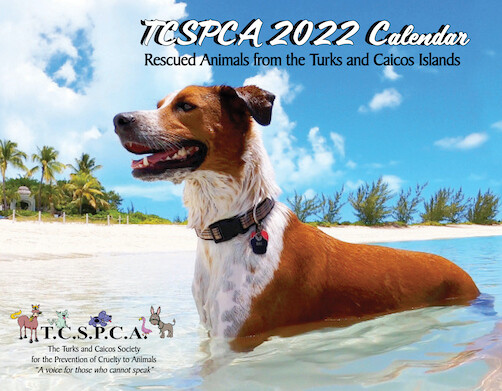 NEW TCSPCA 2022 CALENDAR