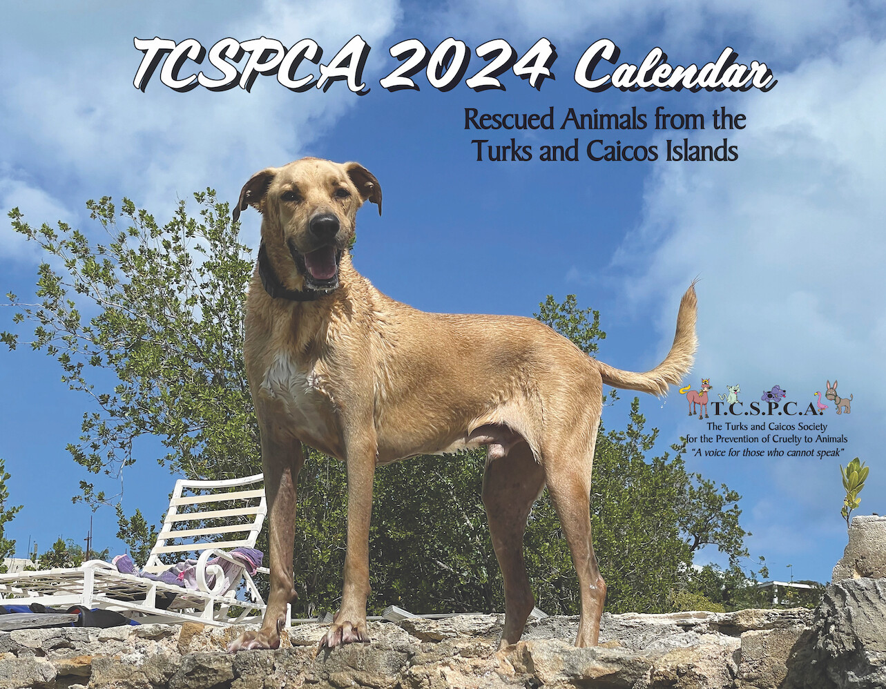 NEW TCSPCA 2024 CALENDAR