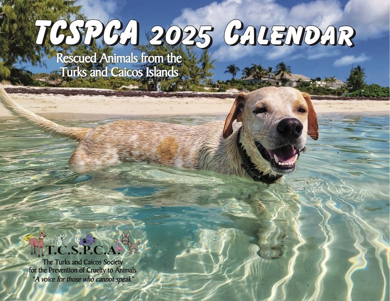NEW TCSPCA 2025 CALENDAR