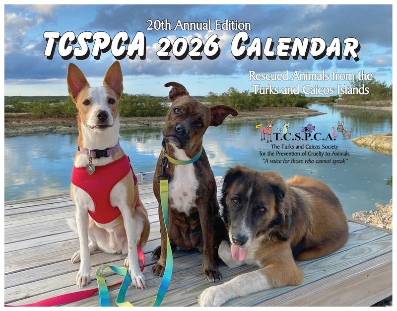 NEW TCSPCA 2026 CALENDAR