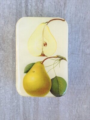 Pear Notions Tin - Large