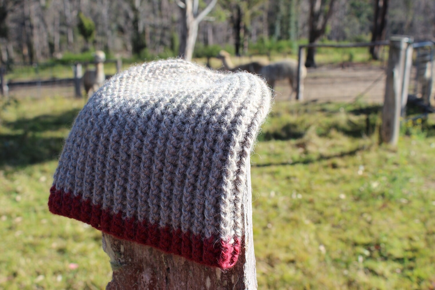 Chunky Ribbed Beanie - Red Brimmed