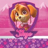 Paw Patrol™ Girl Beverage Napkins