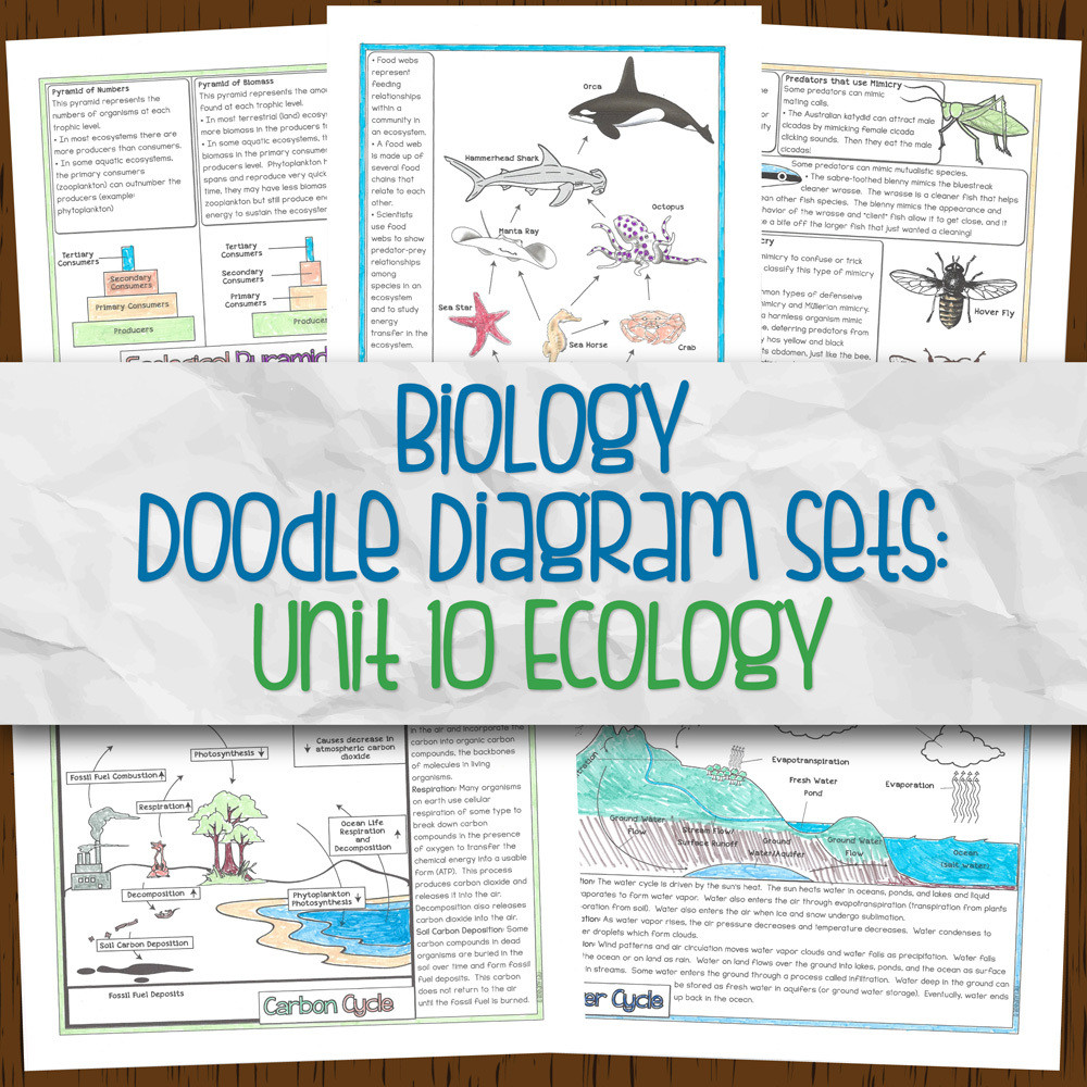 Unit 10: Ecology DD | Store - Science and Math with Mrs. Lau