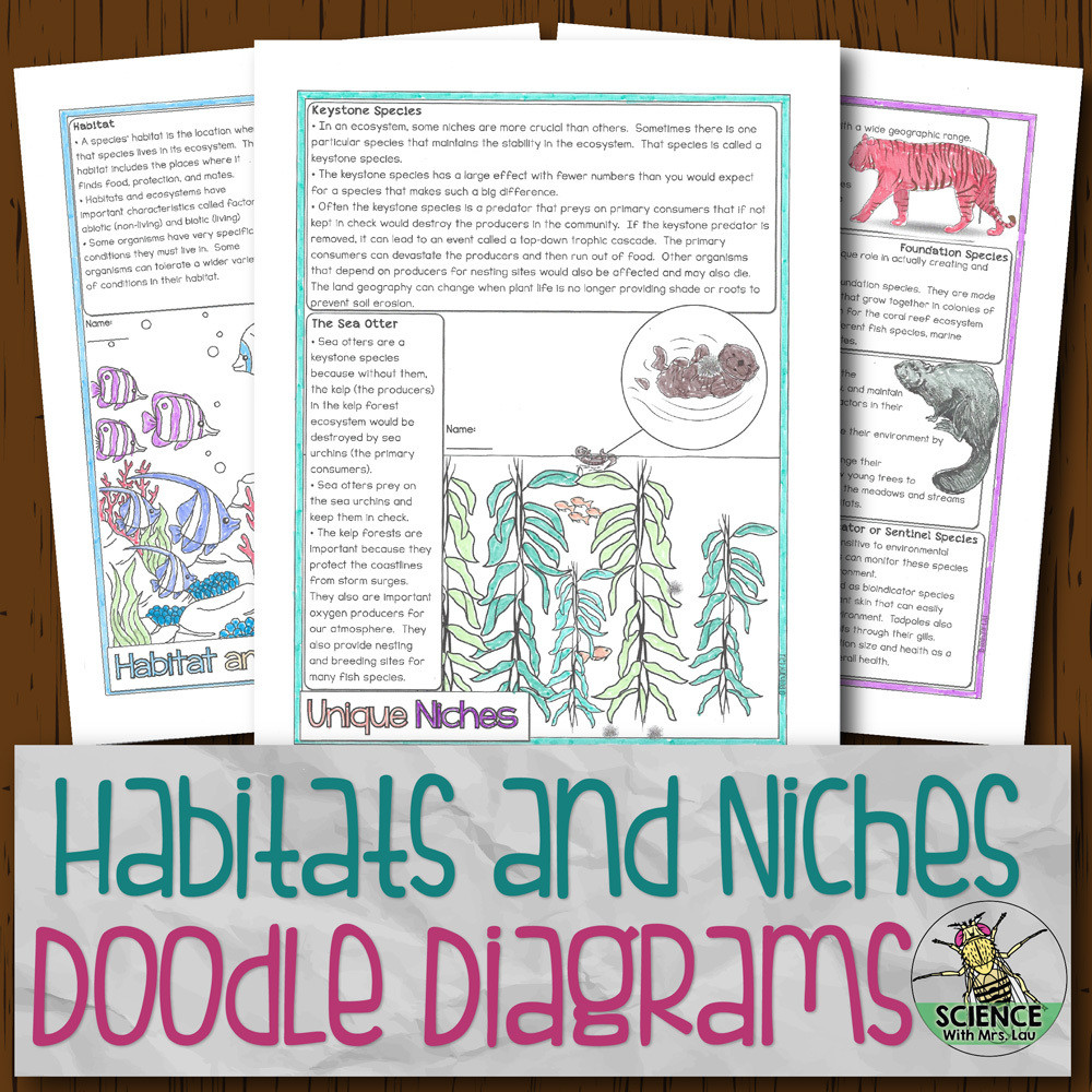 Habitat and Niche Doodle Diagrams