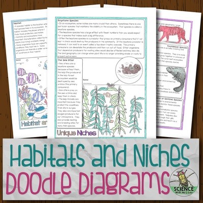 Habitat and Niche Doodle Diagrams