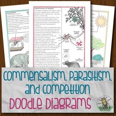 Commensalism Parasitism and Competition Doodle Diagrams