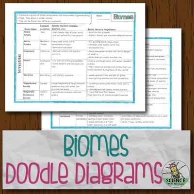 Biomes Doodle Diagram