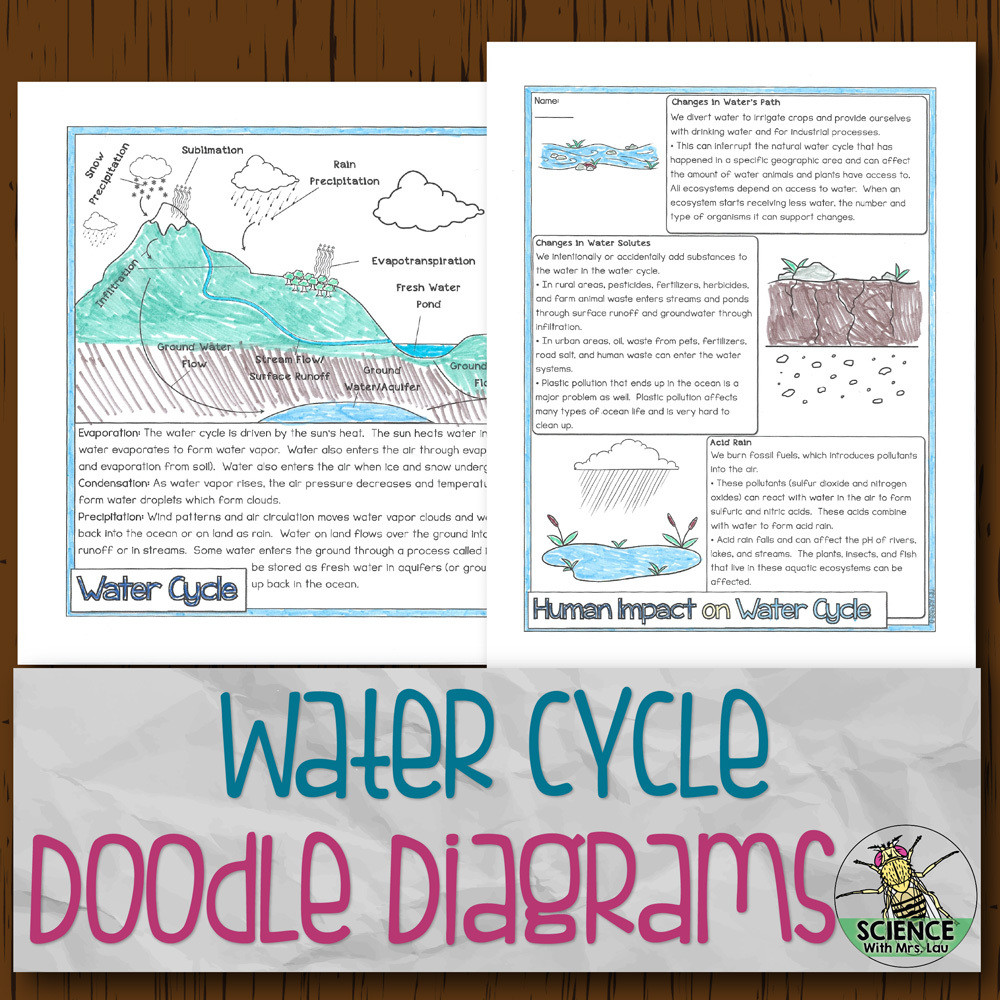 Water Cycle Doodle Diagrams For Water Cycle Worksheet Answer Key