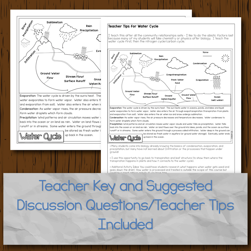 Water Cycle Doodle Diagrams Inside Water Cycle Worksheet Answer Key