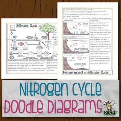 Nitrogen Cycle Doodle Diagrams