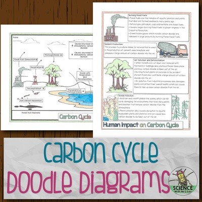 Carbon Cycle Doodle Diagrams