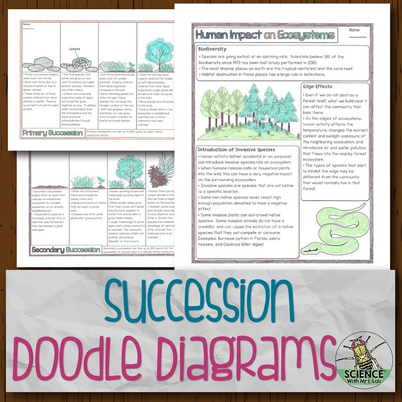 Succession Doodle Diagrams