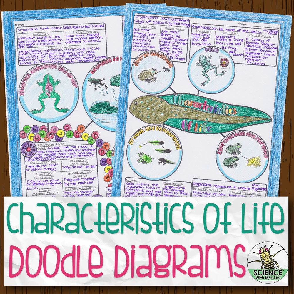 Characteristics Of Life Doodle Diagram Notes Store Science And Math With Mrs Lau