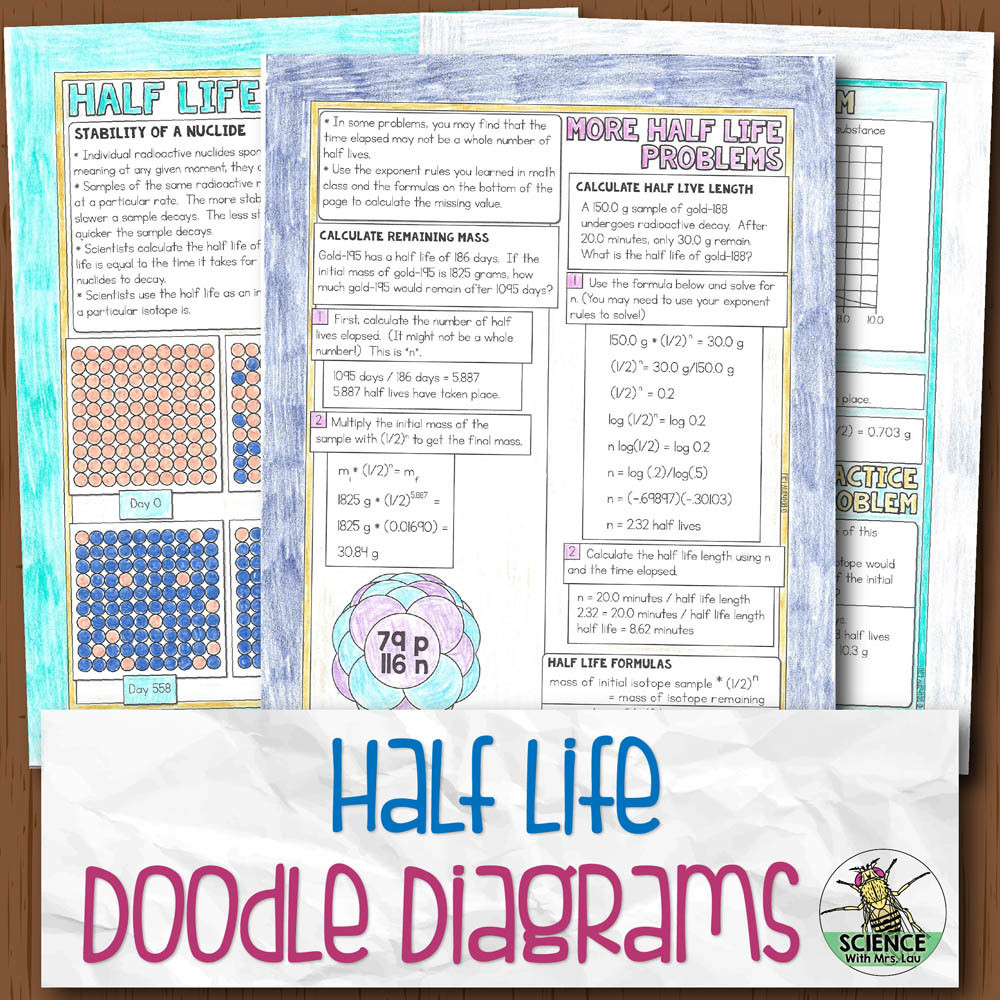Half Life Doodle Diagram Notes