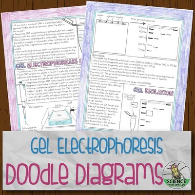 Gel Electrophoresis Doodle Diagrams