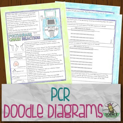 Polymerase Chain Reaction PCR Doodle Diagram Notes