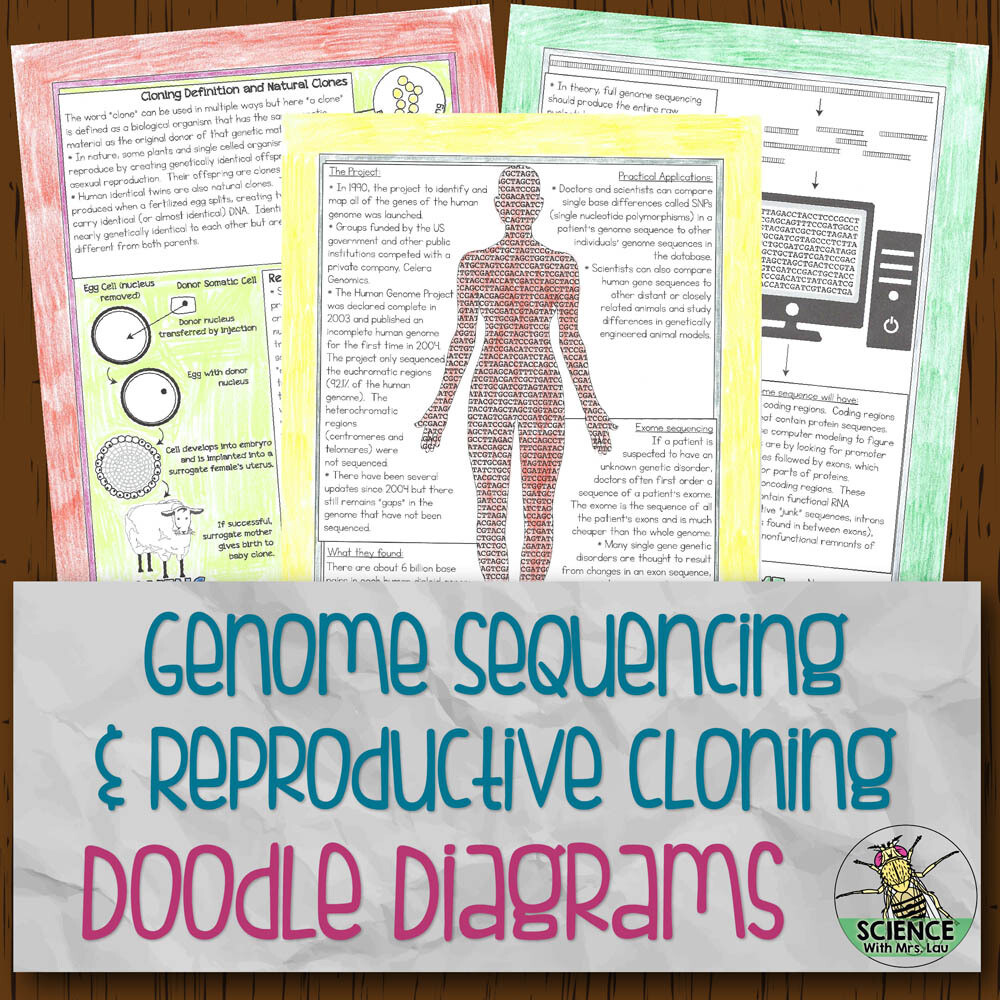 Genome Sequencing and Cloning Doodle Diagram Notes