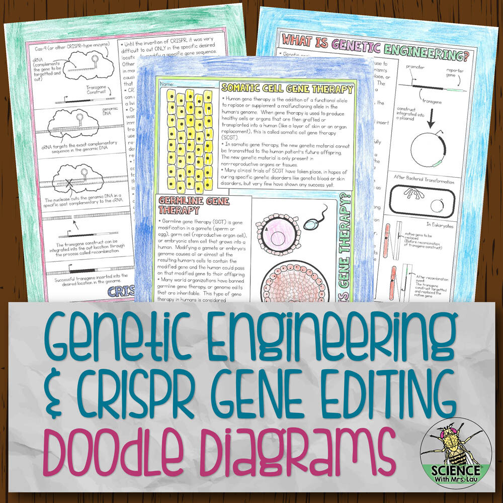 Genetic Engineering and CRISPR Doodle Diagram Notes
