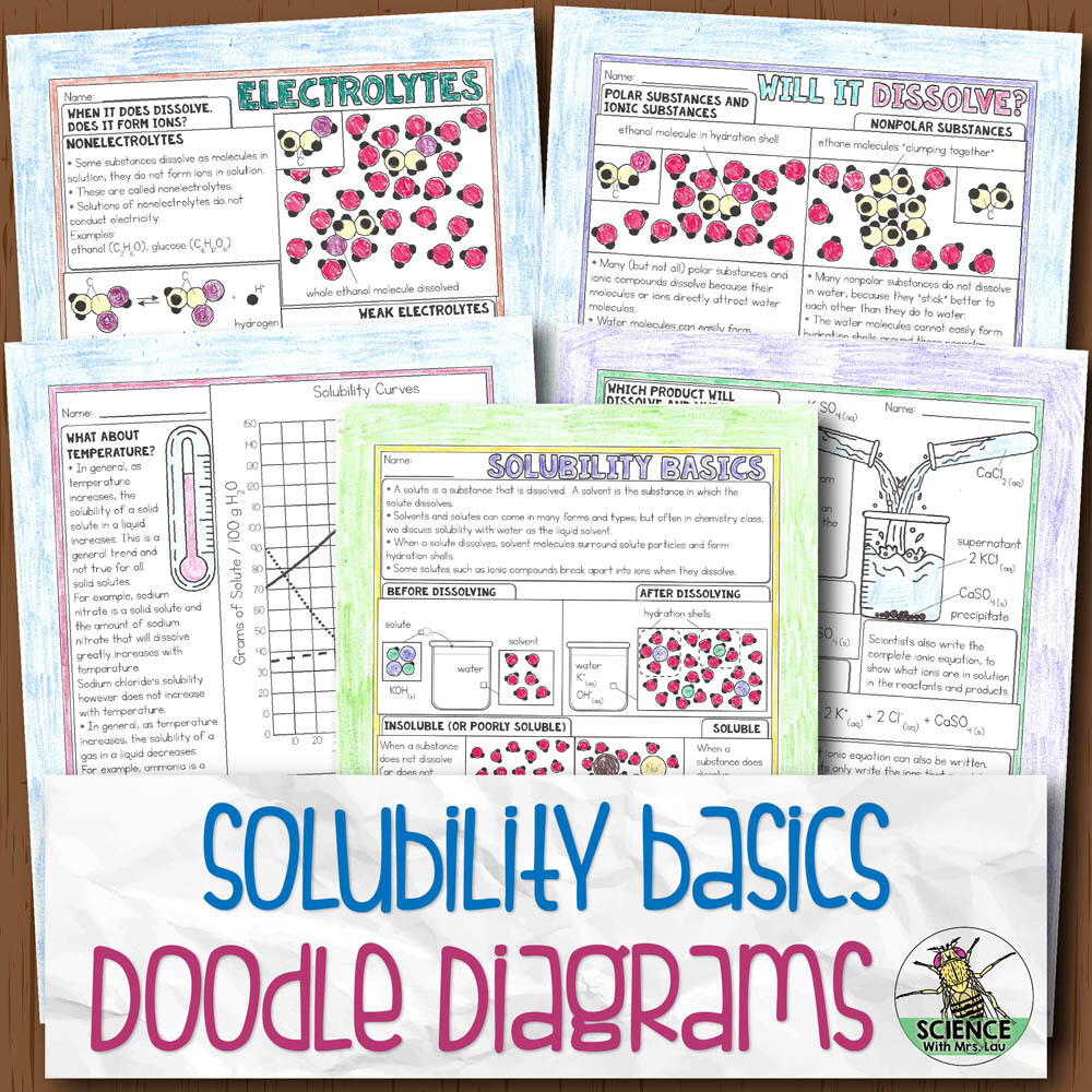 Solubility Basics Doodle Diagram Notes