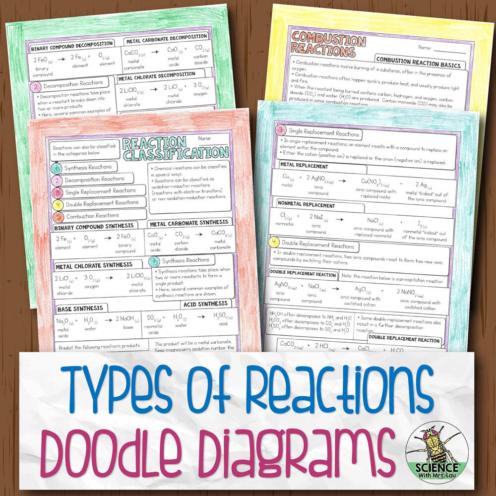 Types of Reactions Doodle Diagram Notes