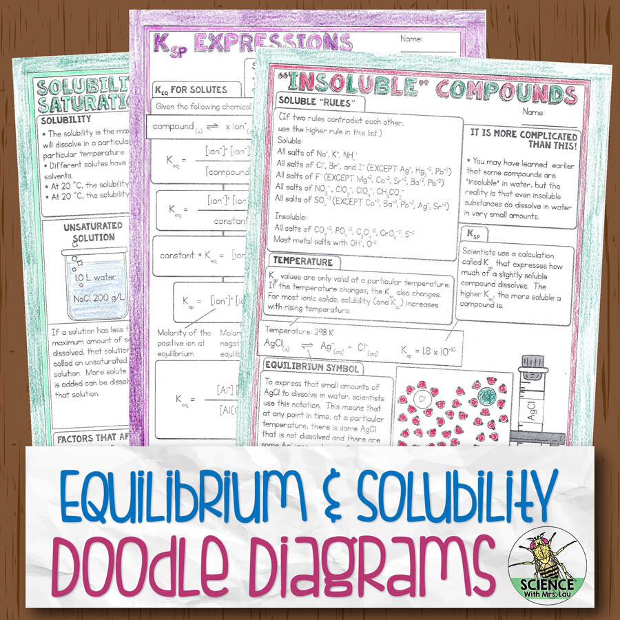 Solubility and Equilibrium Doodle Diagram Notes