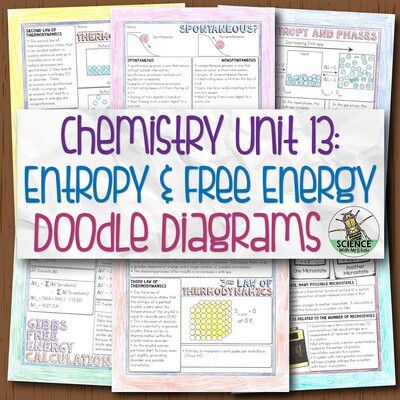 Unit 13: Entropy and Free Energy