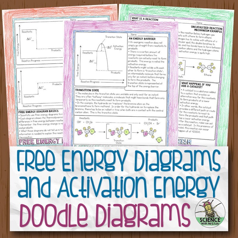 Free Energy Diagrams and Activation Energy Doodle Diagram Notes
