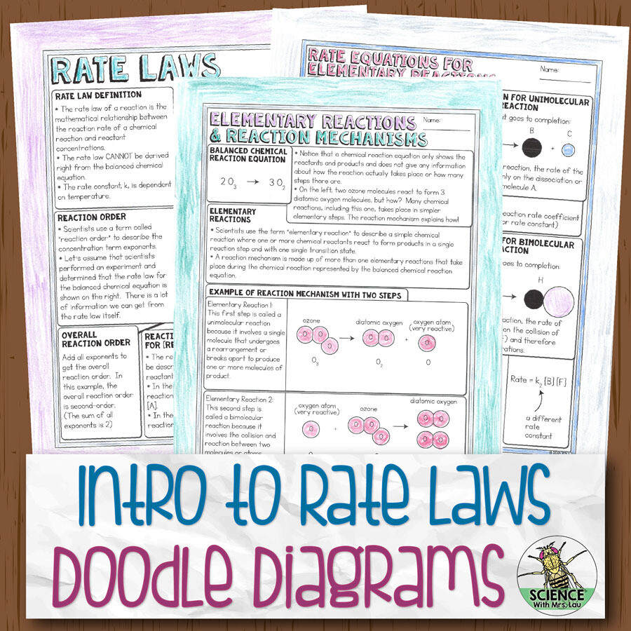 Rate Laws Doodle Diagram Notes