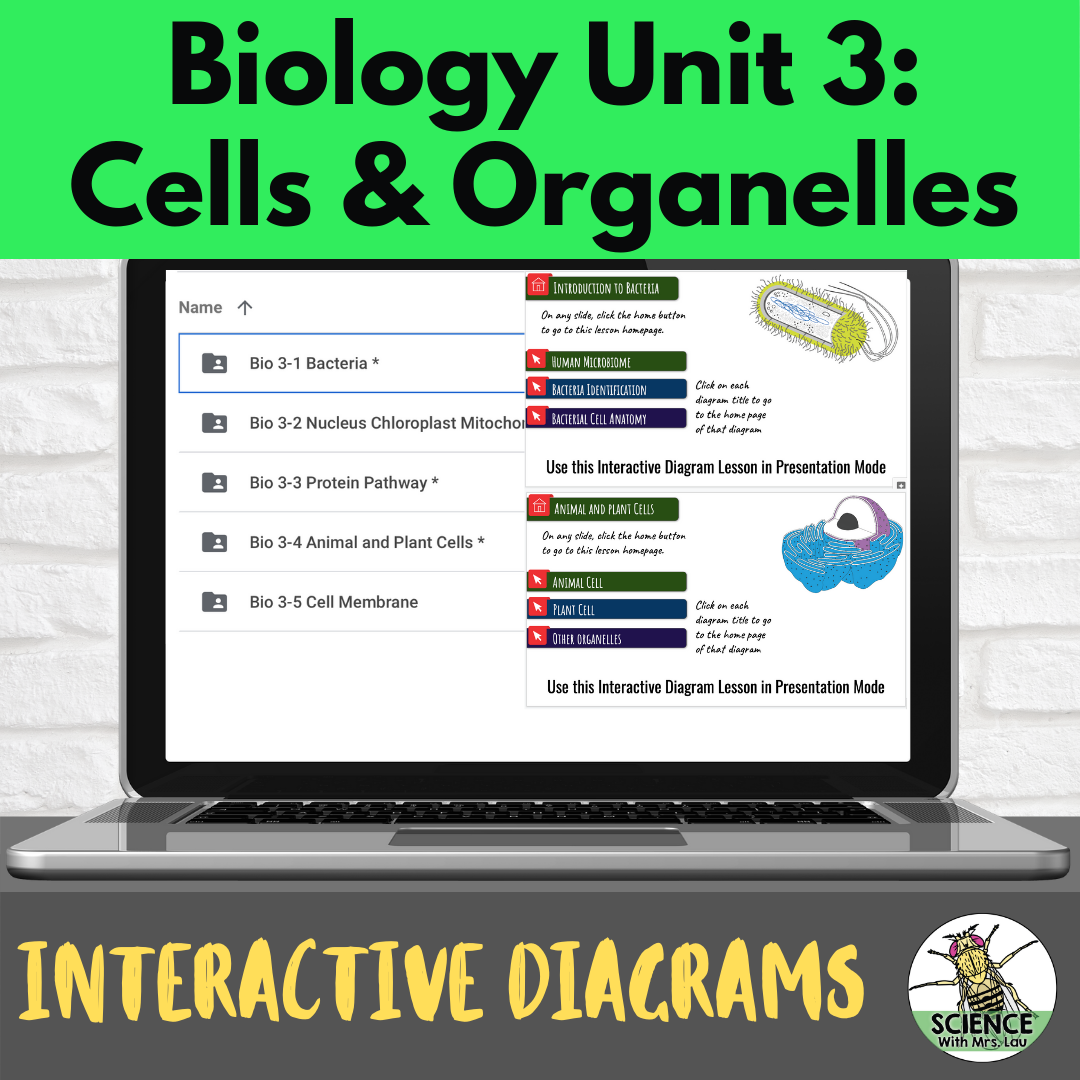 Biology Interactive Diagrams: Unit 3 Cells + Organelles