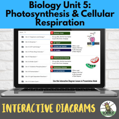 Biology Interactive Diagrams: Unit 5 Photosynthesis Respiration